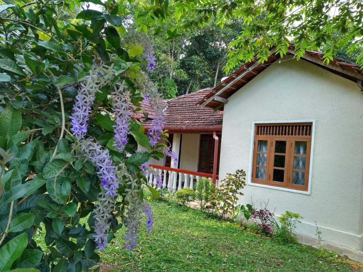 The Pepper Cottage Gomagoda Zewnętrze zdjęcie