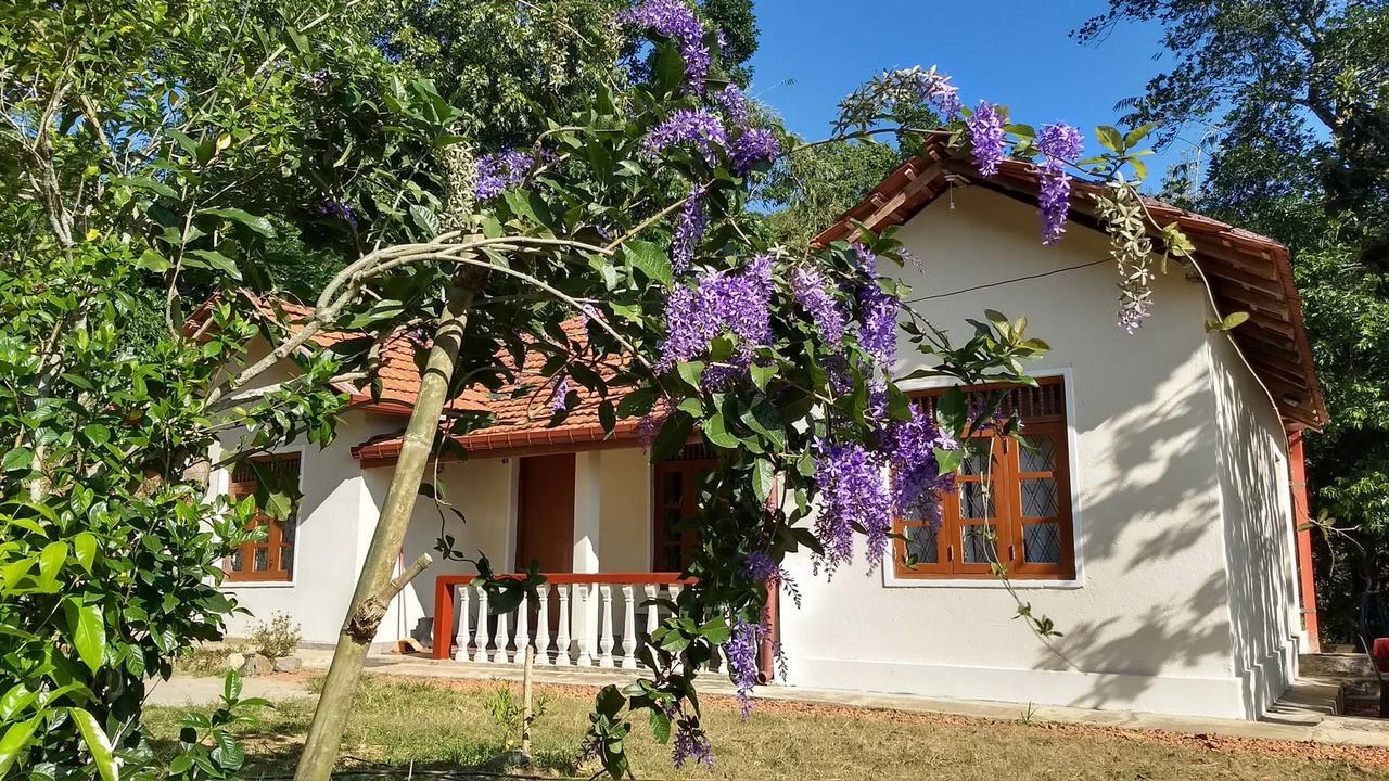 The Pepper Cottage Gomagoda Zewnętrze zdjęcie